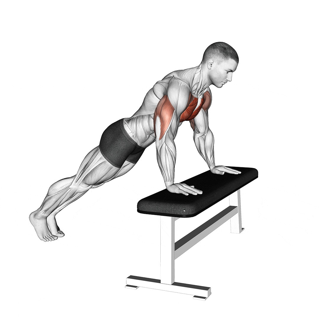 Incline Push Up on Bench