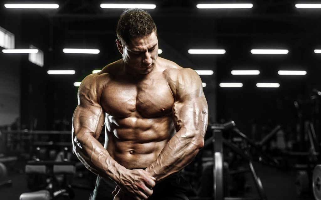 Guide to Workout Split