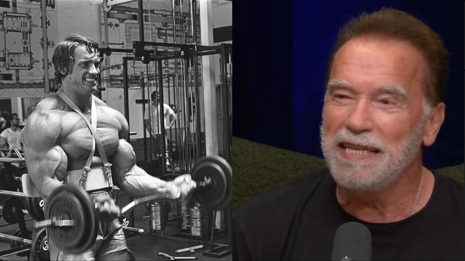 Arnold Schwarzenegger
