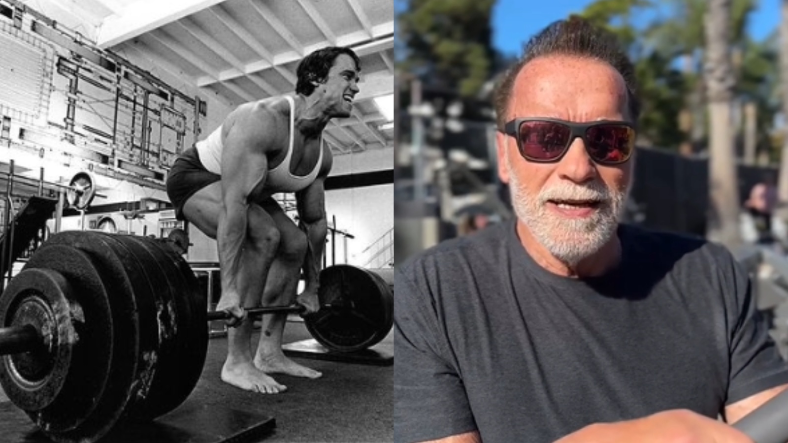 Arnold Schwarzenegger