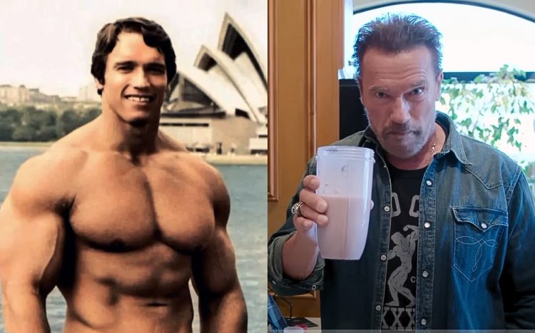 Arnold Schwarzenegger Protein Shakes Weight Loss