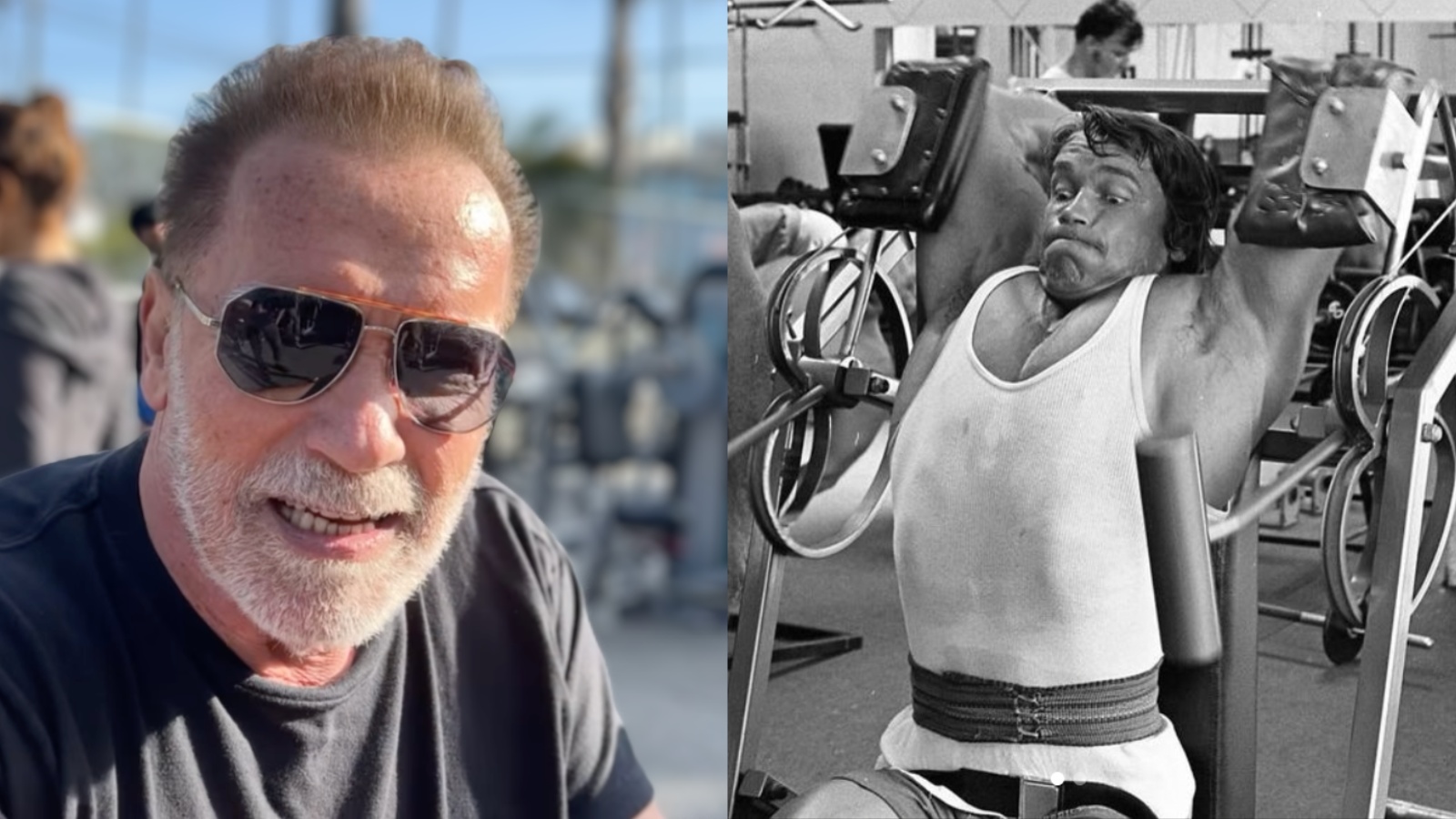 Arnold Schwarzenegger