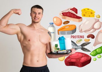 Plant Protein vs Animal Protein