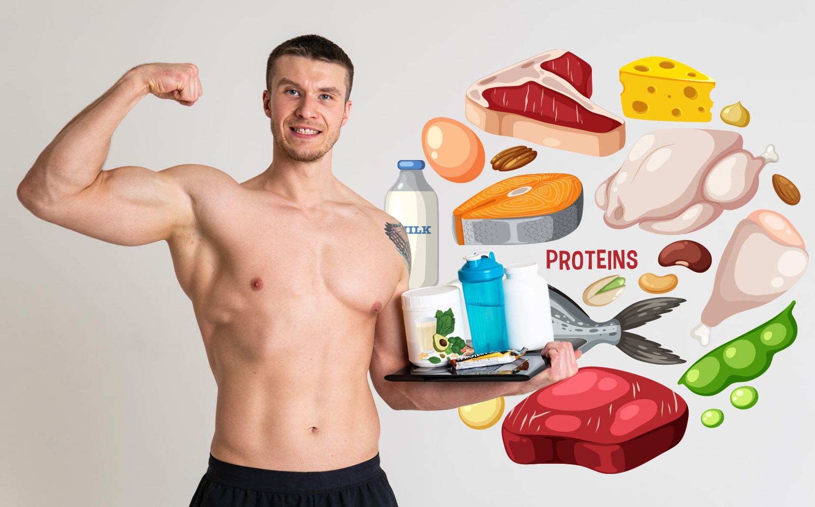 Plant Protein vs Animal Protein