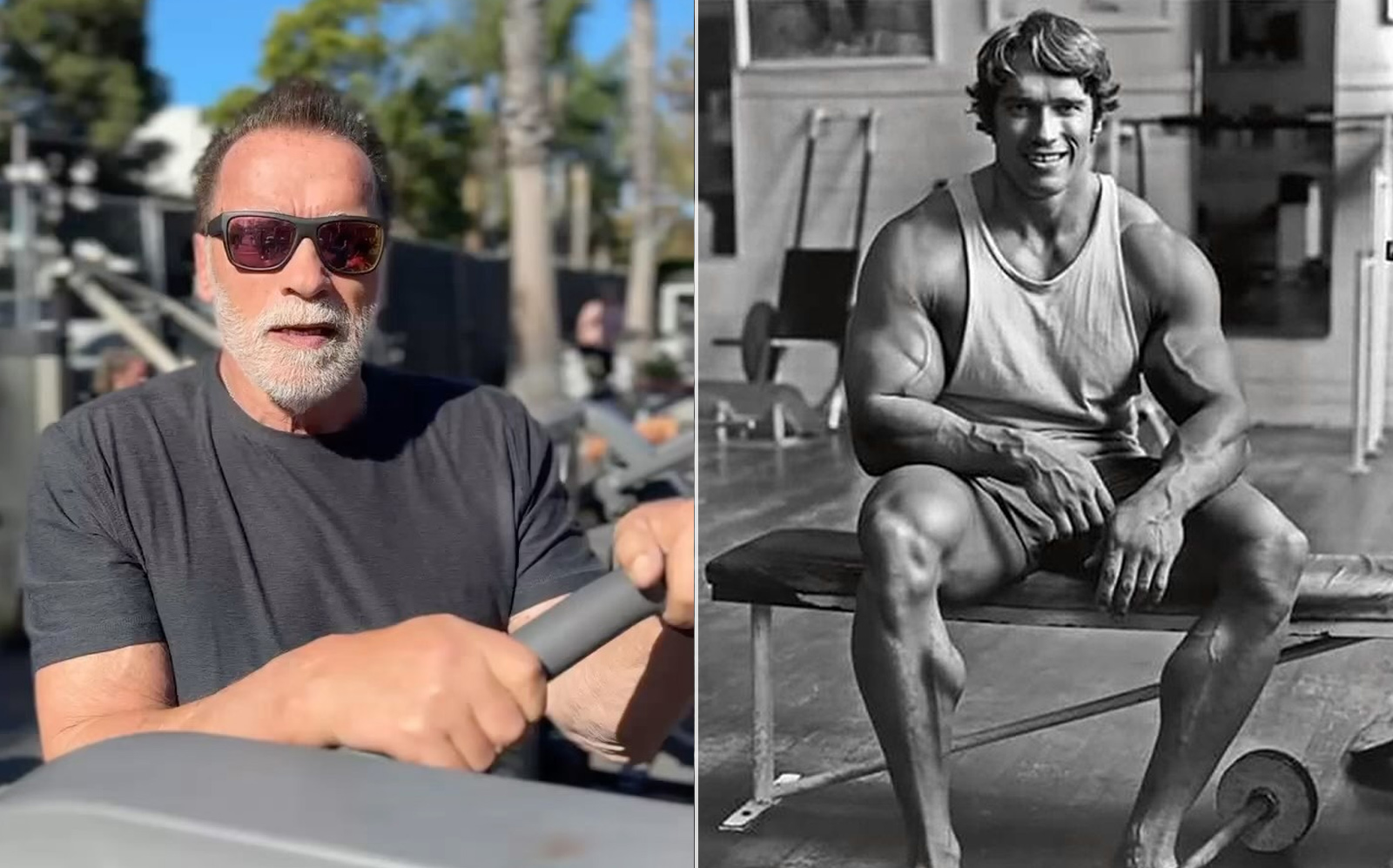 Arnold Schwarzenegger Examines Collagen And Its Potential For Muscle 