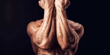 Muscles Used In Armwrestling