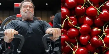 Arnold Talks Cherries Post Workout Recovery