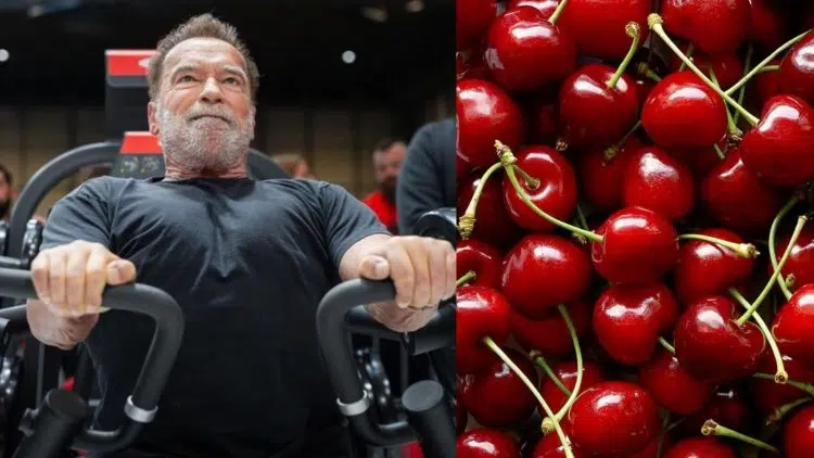 Arnold Talks Cherries Post Workout Recovery