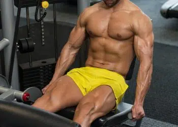 Machine Leg Extension