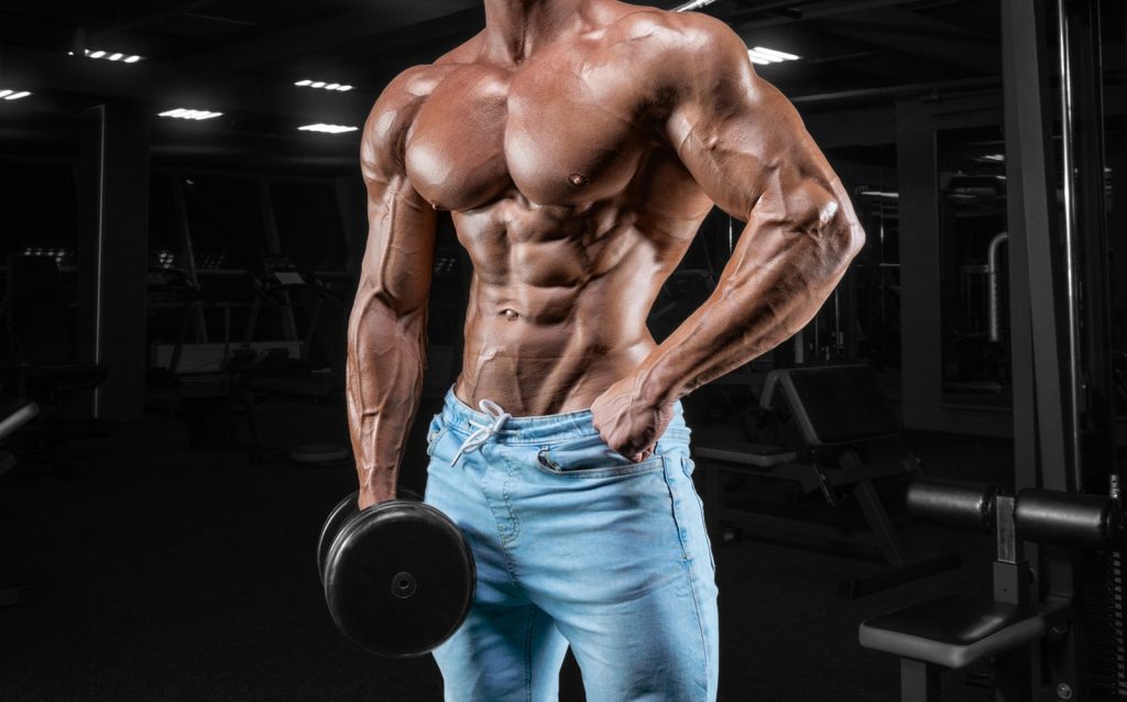 Bodybuilding Training Programs