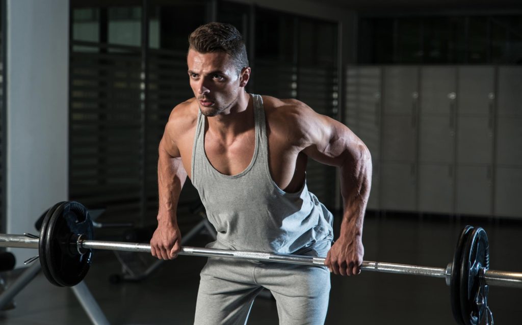 No Smith Machine Guided Lifts