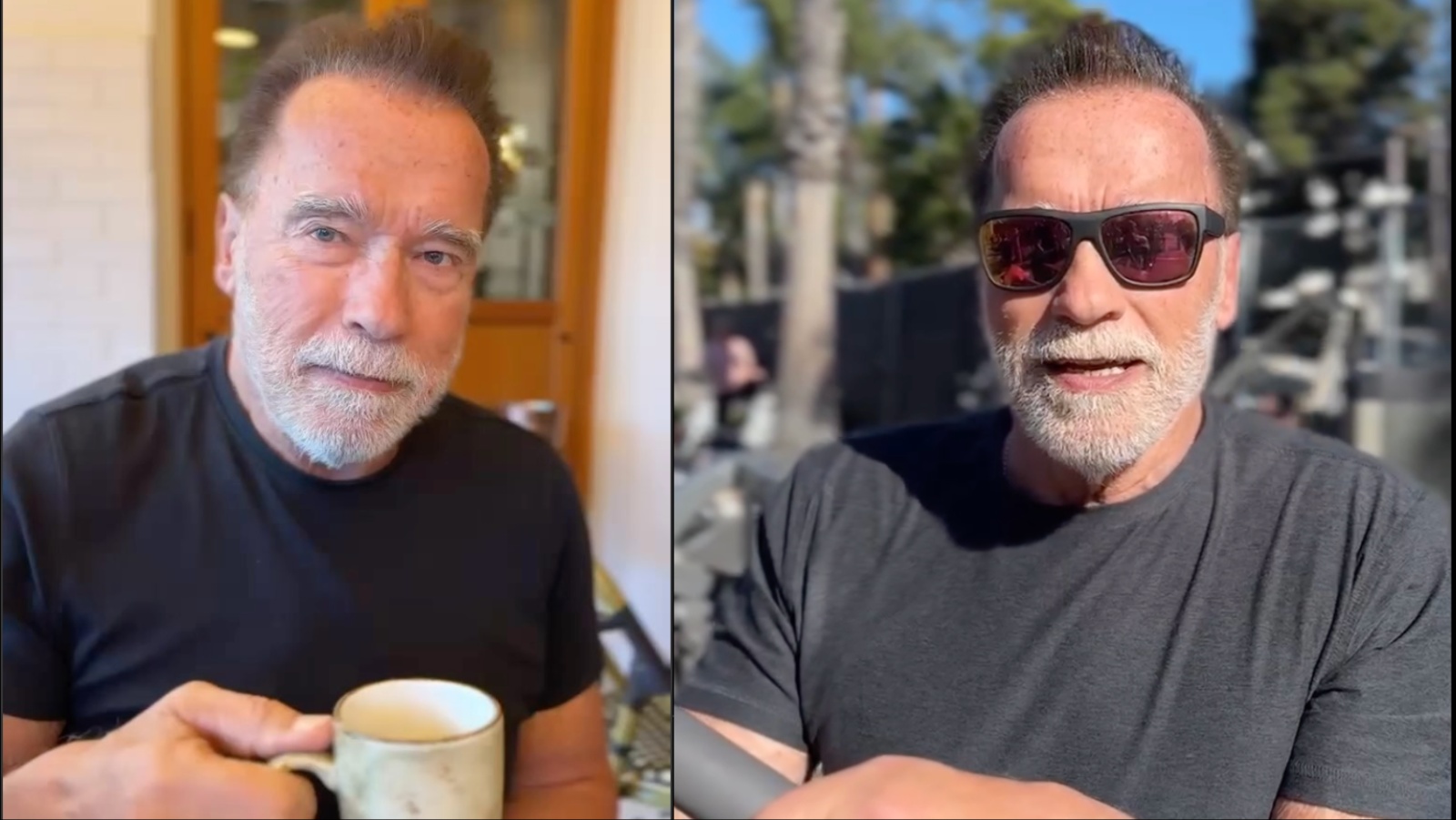 Arnold Schwarzenegger Reveals If Black Coffee Is More Effective Than ...