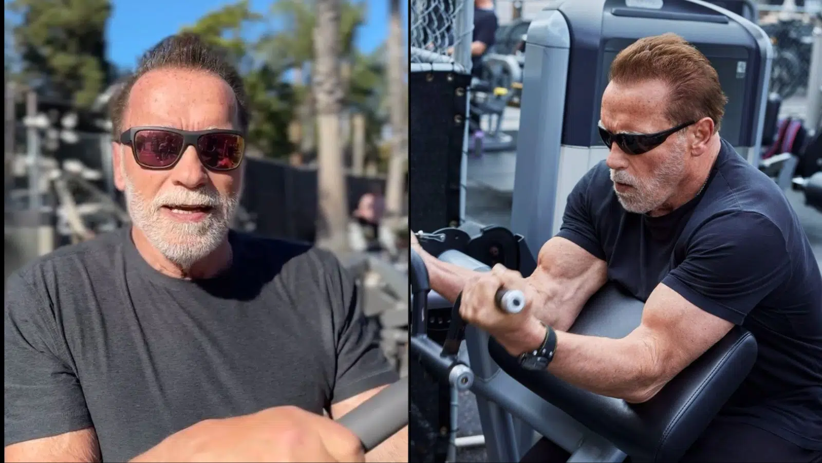 Arnold Schwarzenegger