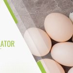 Egg Protein Calculator