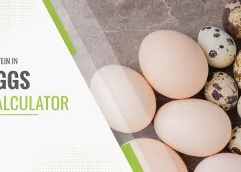 Egg Protein Calculator