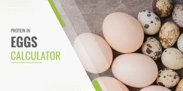 Egg Protein Calculator