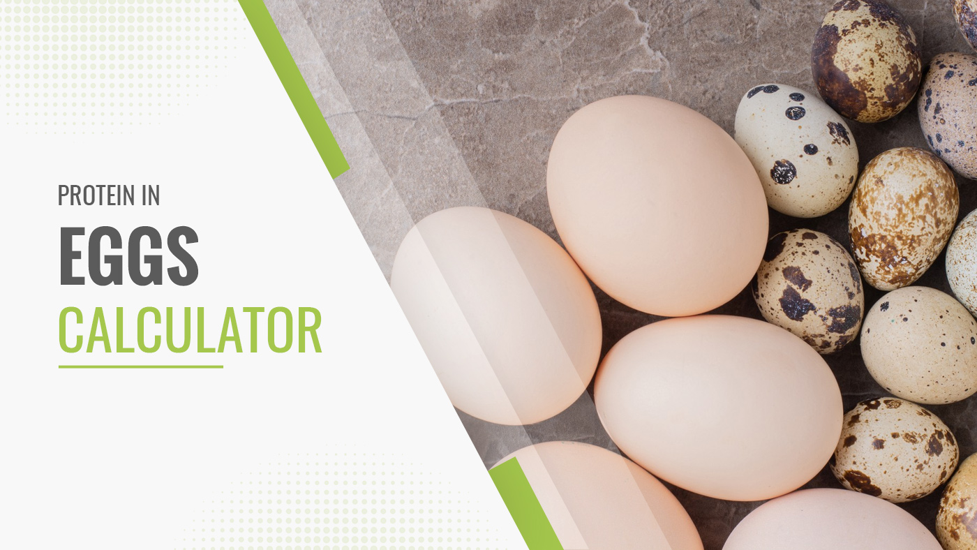 Egg Protein Calculator Fitness Volt