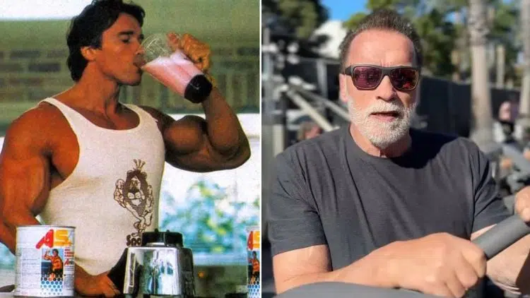 Arnold Schwarzenegger Protein Timing