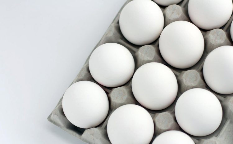 Fresh Eggs Fresh Eggs