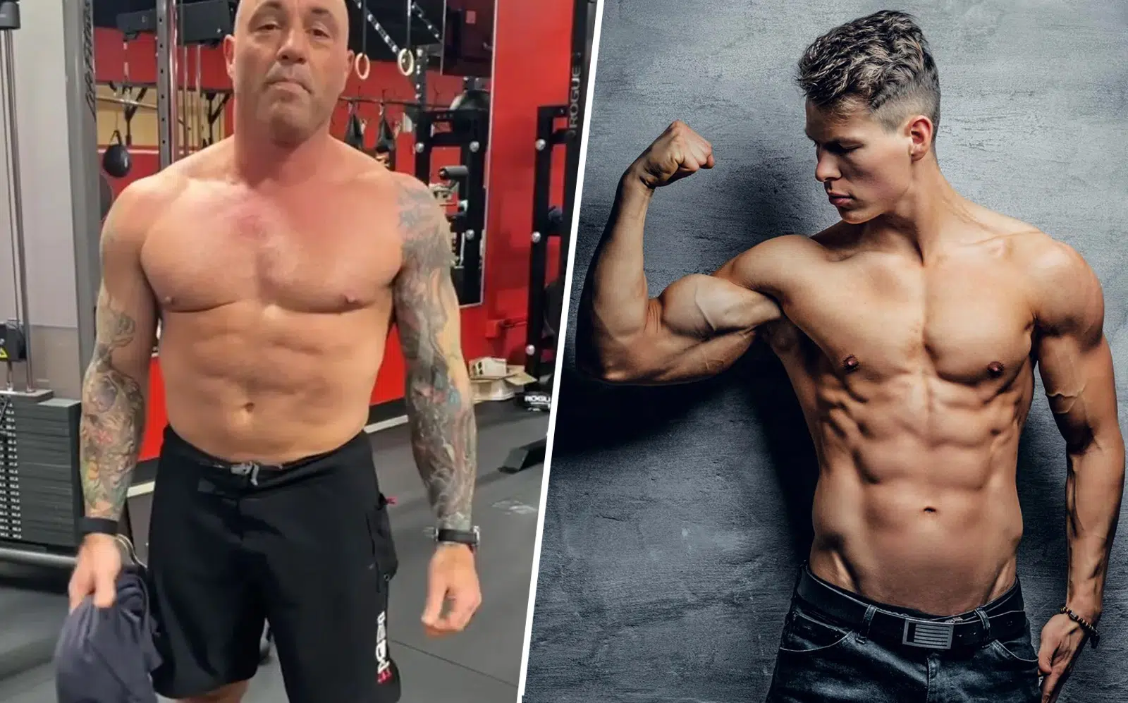 Joe Rogans Carnivore Diet