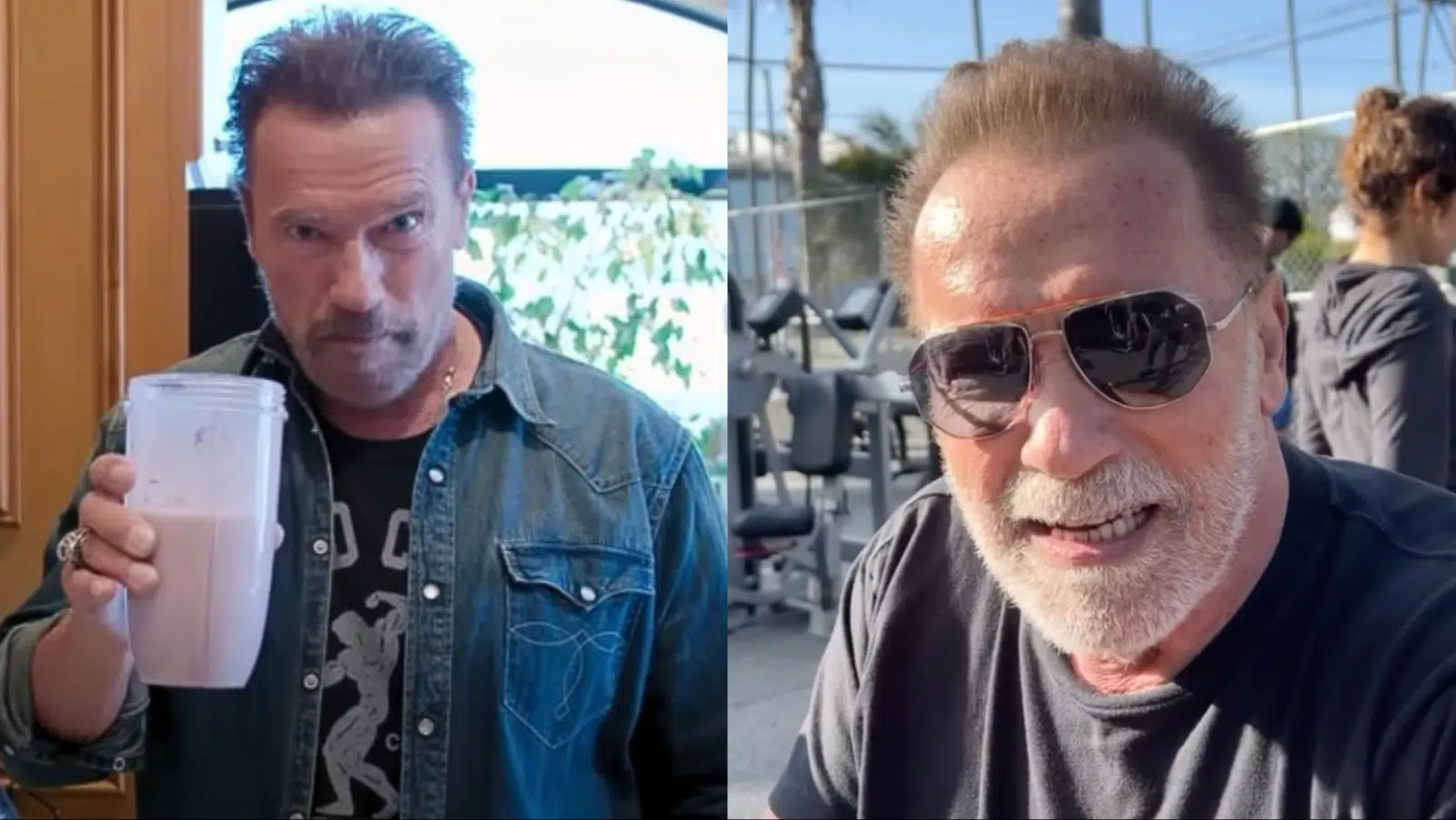 Arnold Schwarzenegger