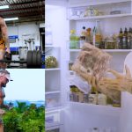 Jake Paul Gym And Fridge