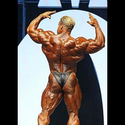 Jay Cutler Back Pose