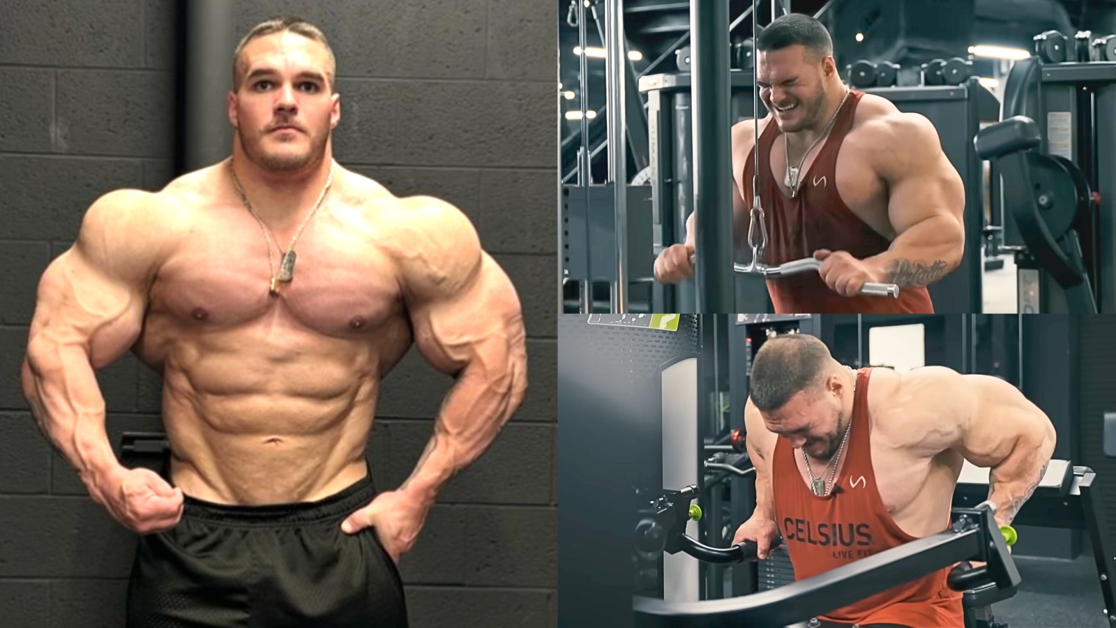 Bodybuilder Nick Walker Demolishes Push Day Workout 12 Weeks From 2024