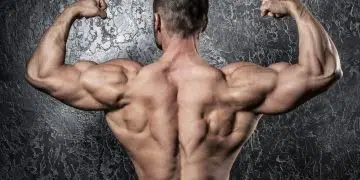 Only 3 Back Exercises