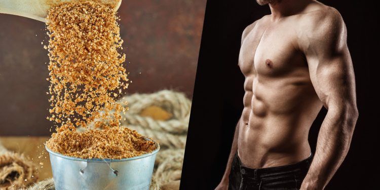 Ancient Grain Muscle Gains