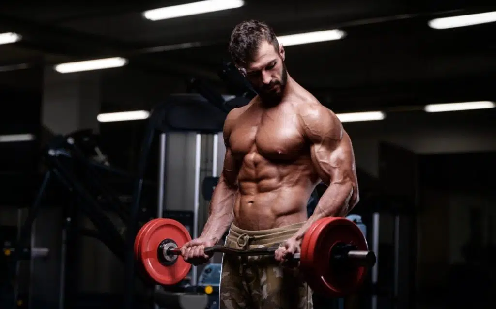 Barbell Exercises