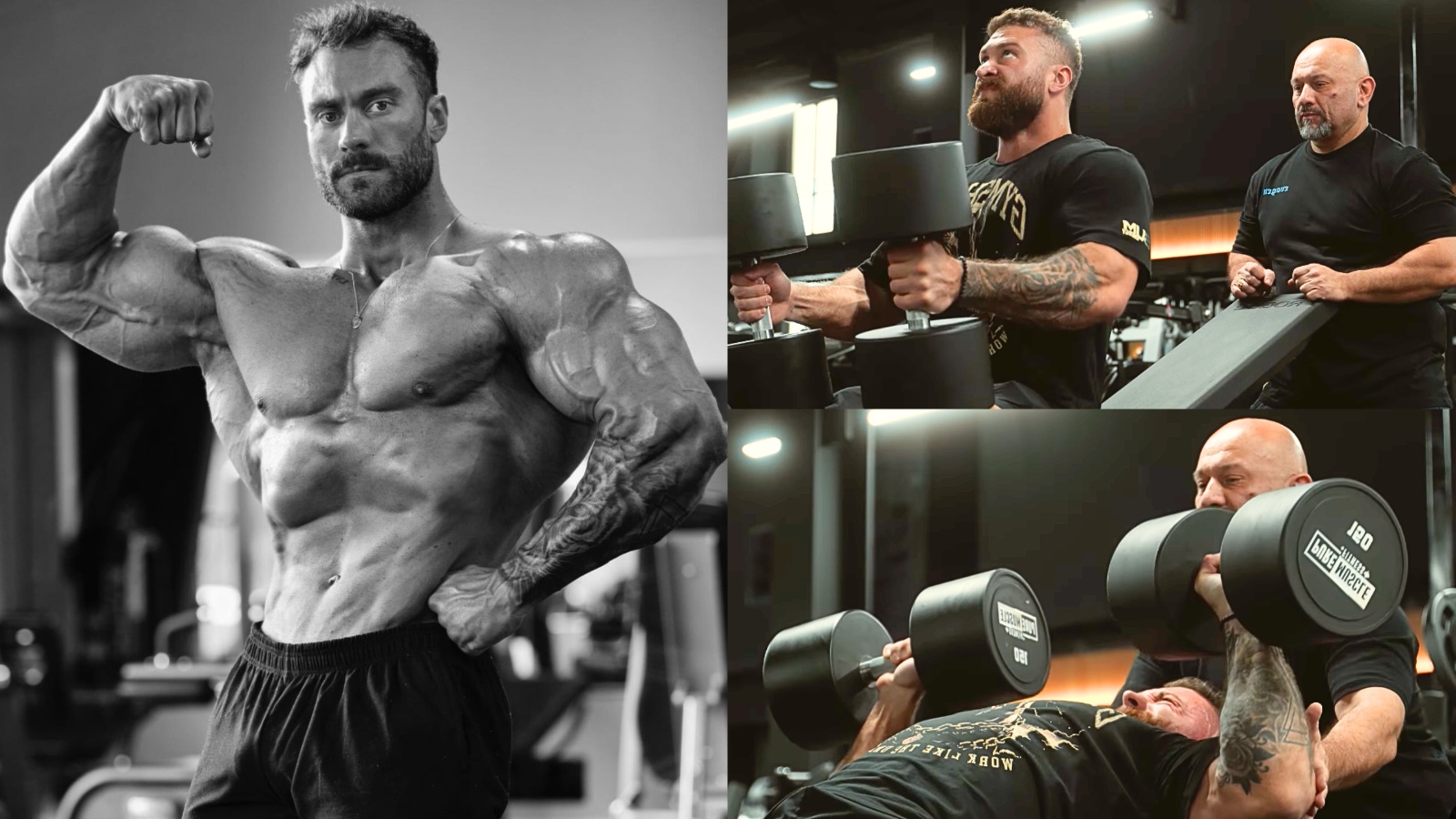 Chris Bumstead Destroys 150Pound Incline Dumbbell Bench Press for Reps