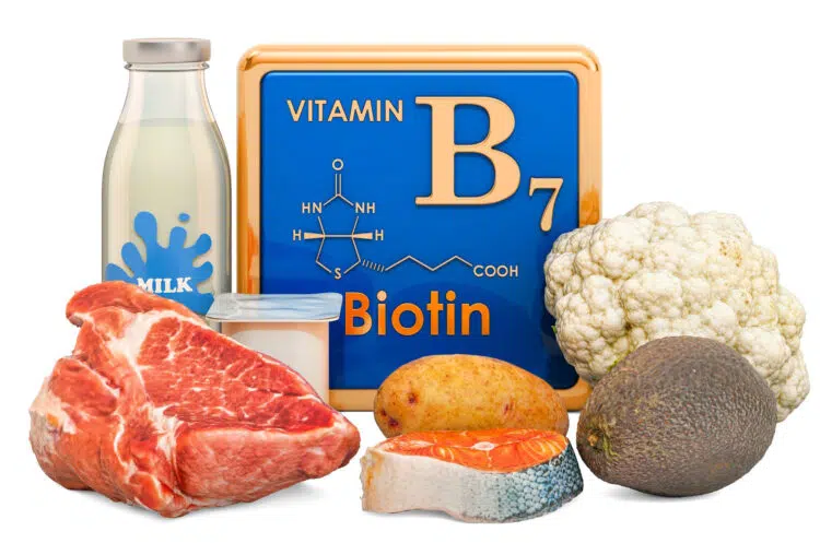 Foods High In Vitamin B7 Biotin