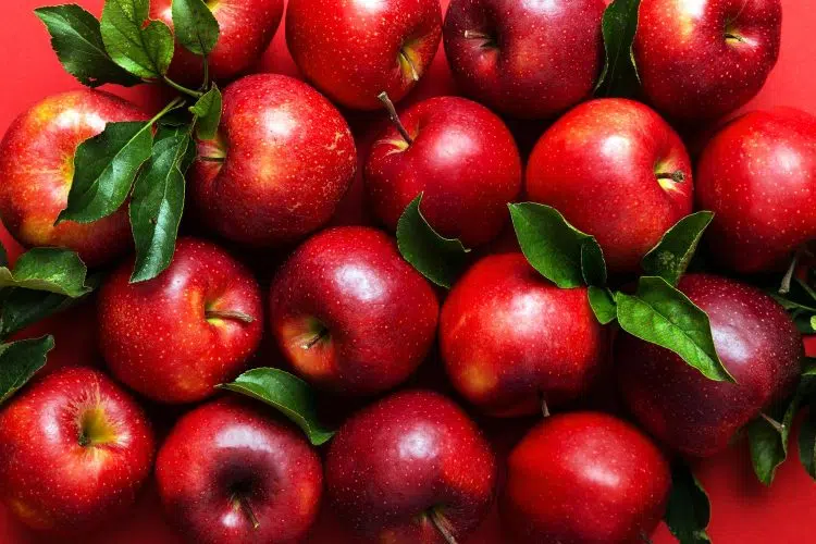 Fresh Ripe Red Apples