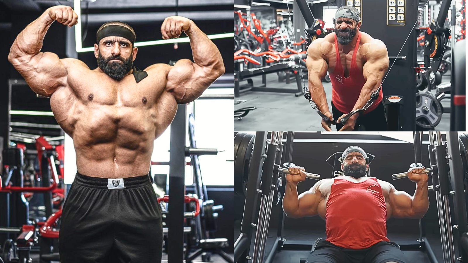 Bodybuilder Hadi Choopan's Shared a Workout Guide for Building a 3D ...