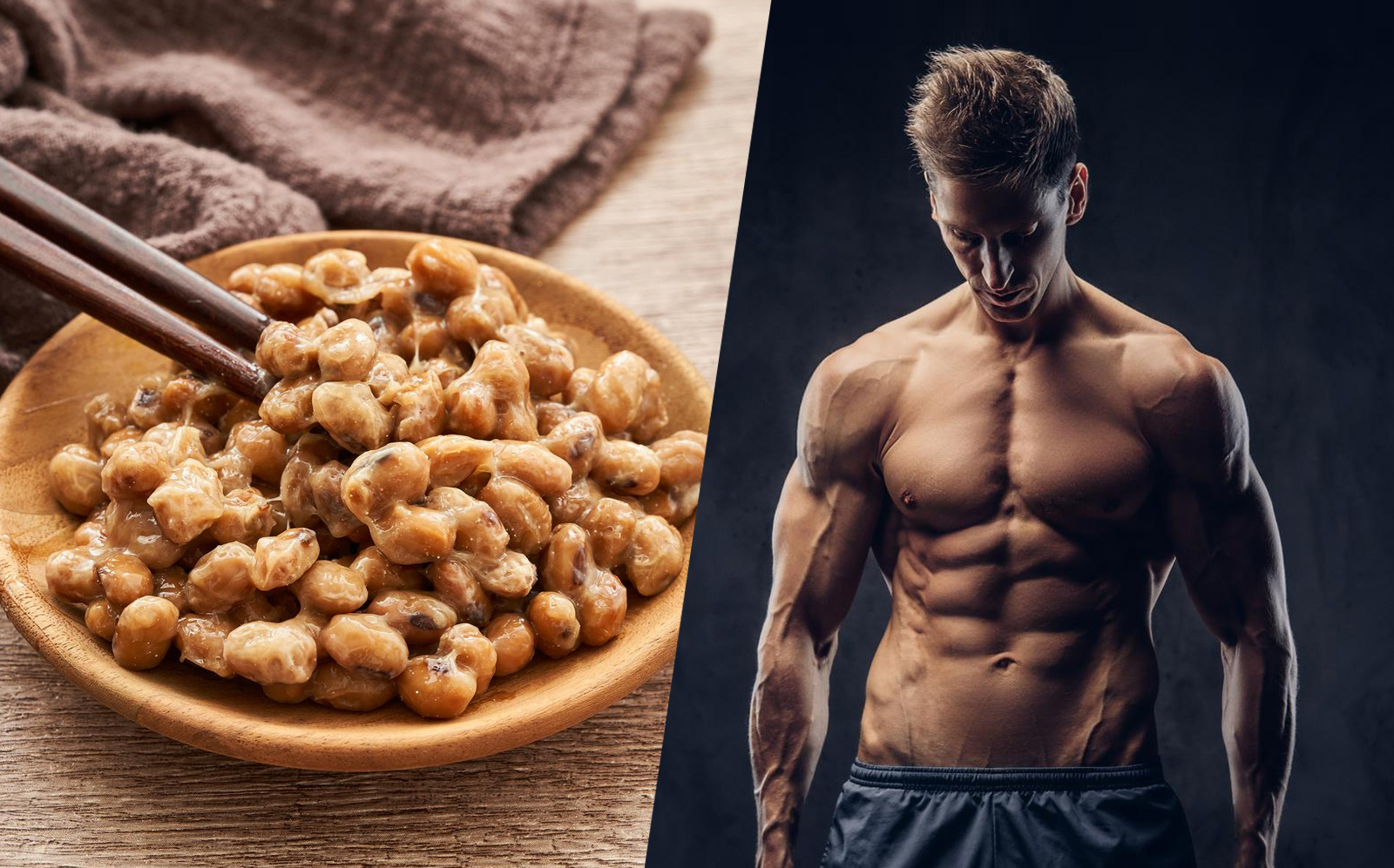 Ancient Nutrition Post Workout