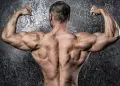 Bodyweight Back Exercises V Taper