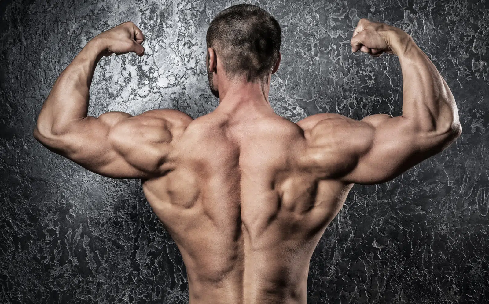 Bodyweight Back Exercises V Taper