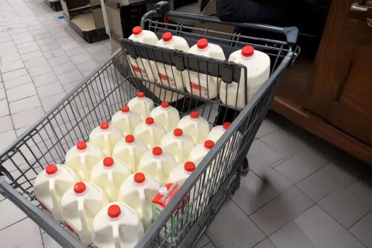 Buying Milk For Diet