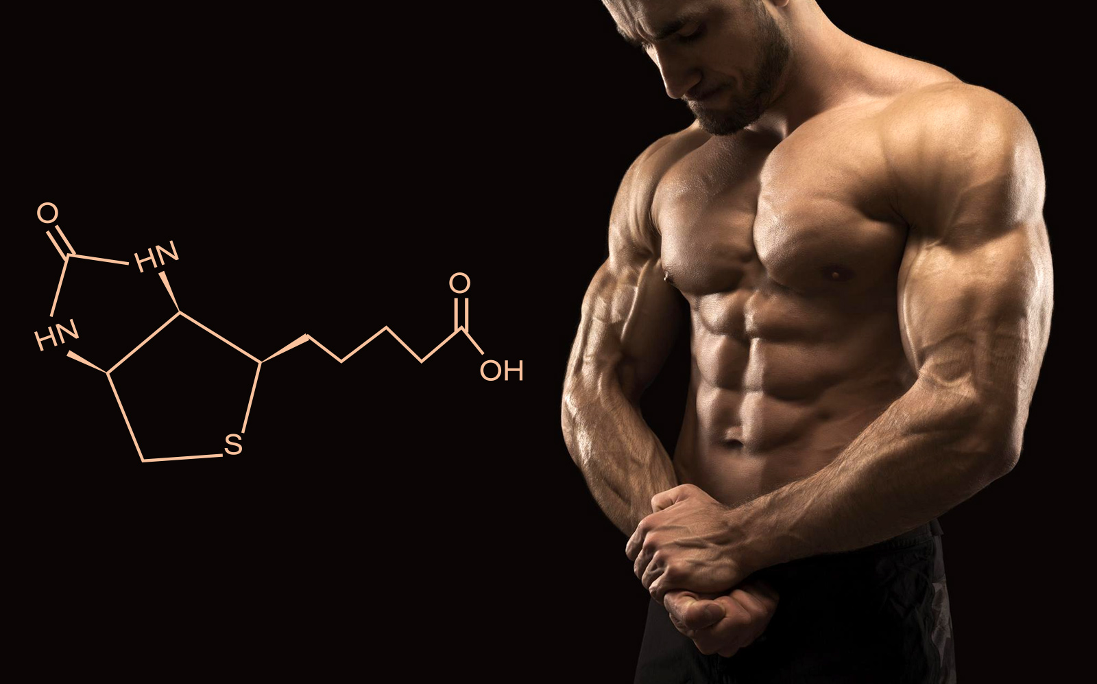 Forgotten Vitamin Biotin