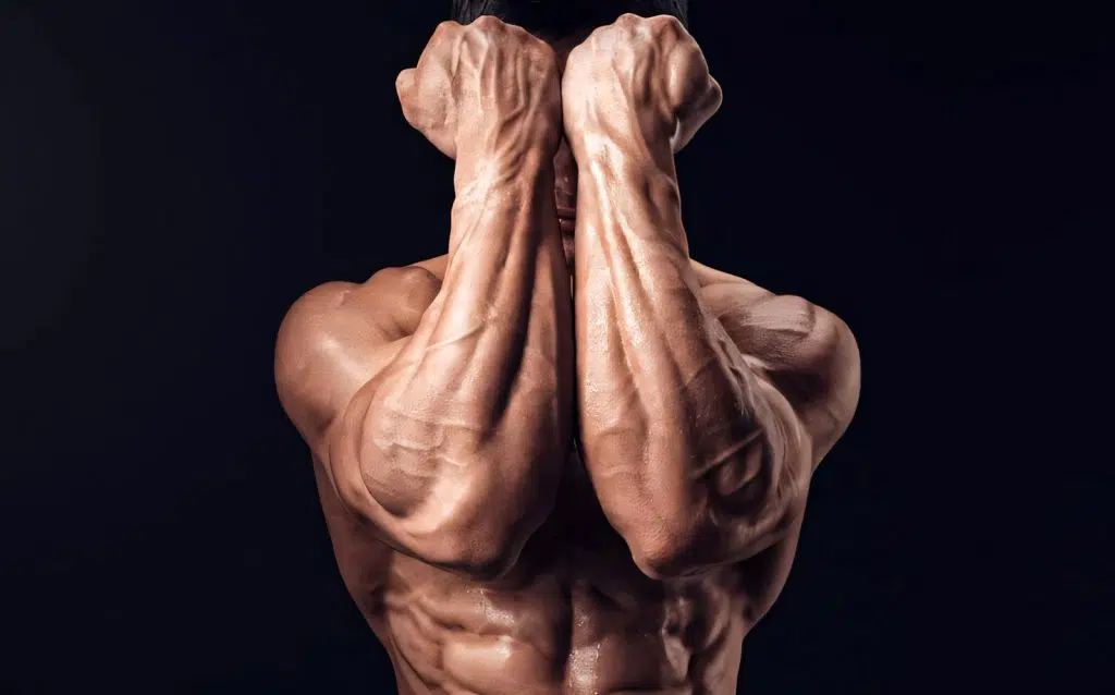 Grip Strength Exercises