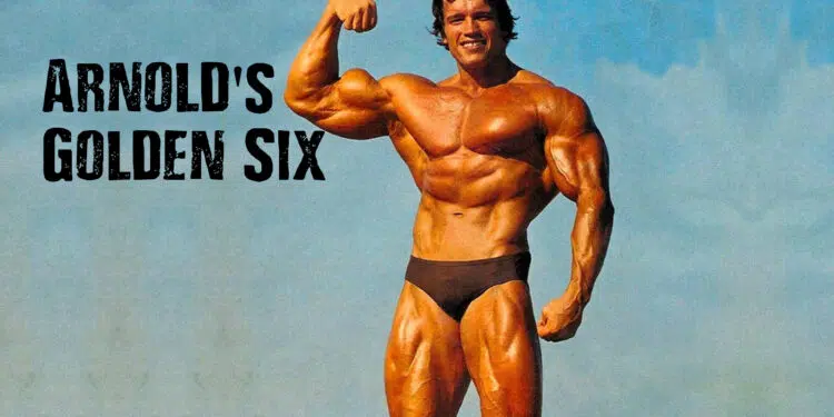 Arnold Golden Six Routine