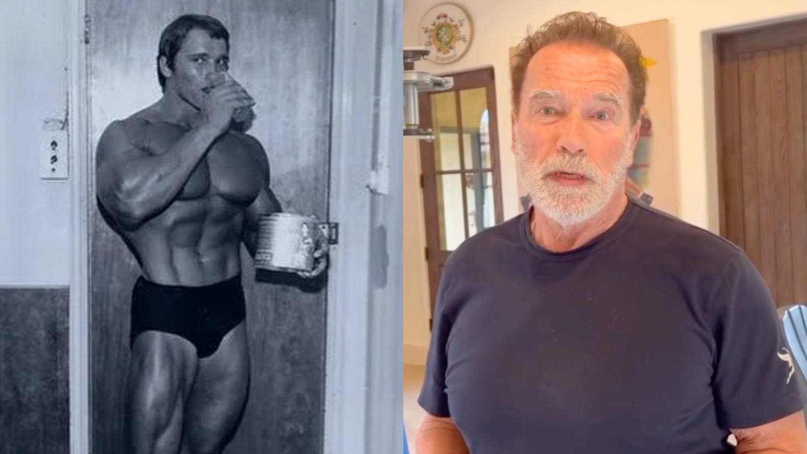 Arnold Schwarzenegger Explains How to Upgrade Plant-Based Protein to 'Make It Just as Powerful As Whey' – Fitness Volt