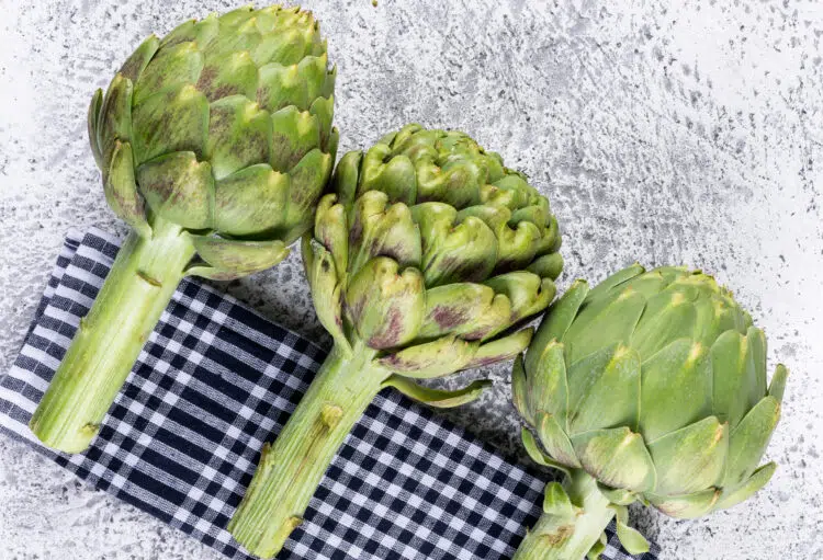 Green Artichokes