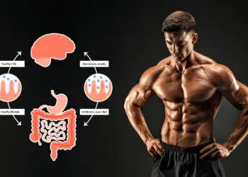Gut Muscle Connection