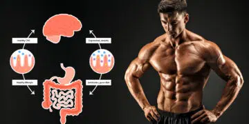 Gut Muscle Connection