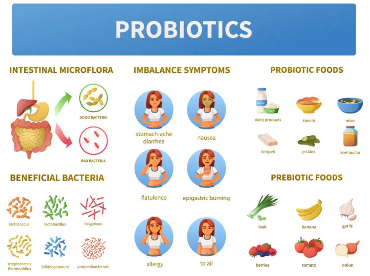 Probiotics Infographics