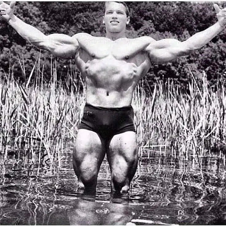 Young Arnold