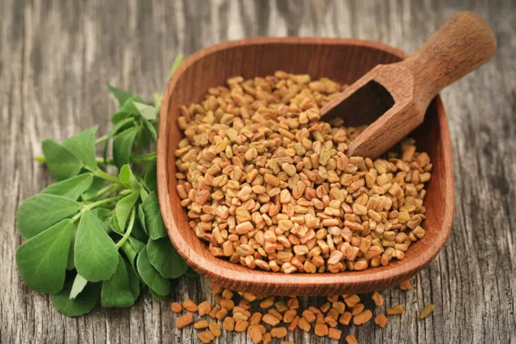 Fenugreek Seeds