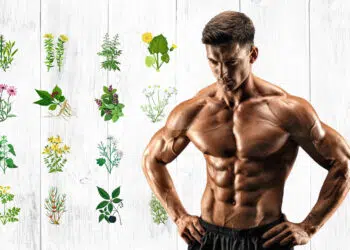 Herbs For Testosterone